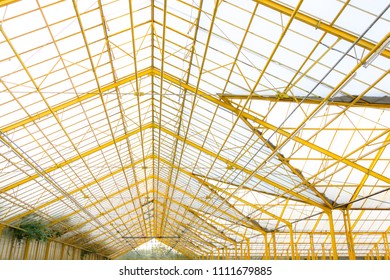 Cristal Roof On The Glasshouse