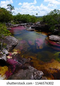 Caño Cristales, Meta, Colombia