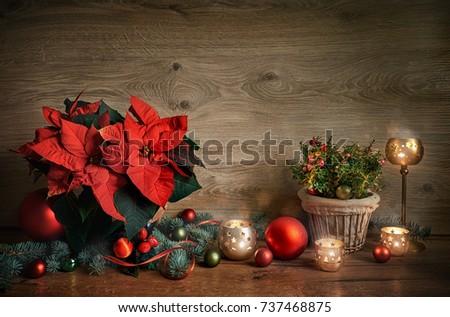 Cristmas still life with poinsettia, gaultheria and decorations on wooden table.. Merry Christmas! Toned image, space for your text