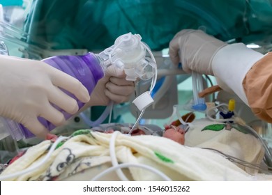 Critically Ill Baby Inside A Covered Incubator, Assisted Ventilation Through Orotraqueal Tube By Physician. Nurse And Doctor´s Hands With Gloves. NICU.