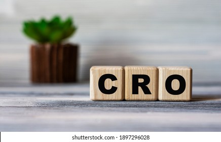CRO (Conversion Rate Optimization) - word on wooden cubes against the background of a light board with beautiful divorces and a cactus. Internet concept