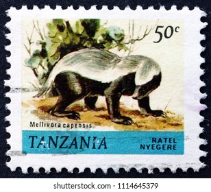 CROATIA ZAGREB, 31 MAY 2018: a stamp printed in Tanzania shows Honey Badger, Mellivora Capensis, Animal, circa 1980