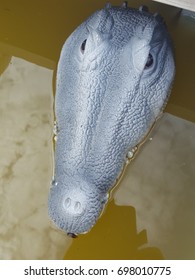 Crocodile