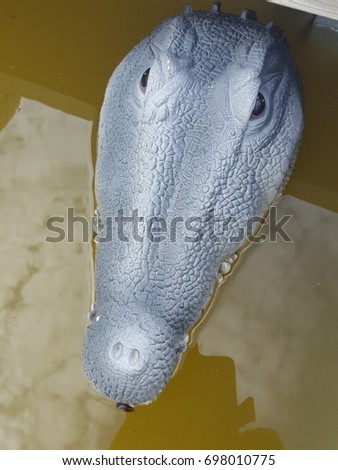 Crocodile