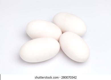 Crocodile Alligator Eggs Group White Background