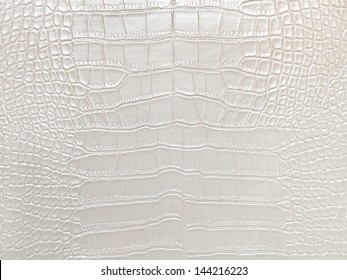Crocodile bone skin texture background. White Color.