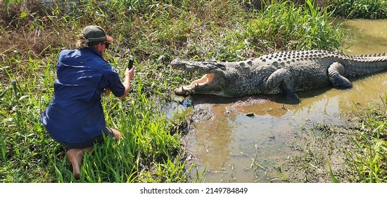 Crocodile Eating Python Darwin NT