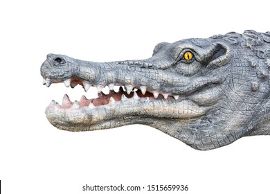 Daspletosaurus Head Daspletosaurus Carnivore Genus Tyrannosaurid Stock ...