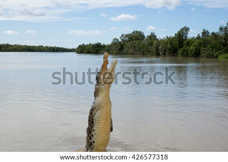 Crocodile jumping out of water in Adelaide River, Kakadu, Australia