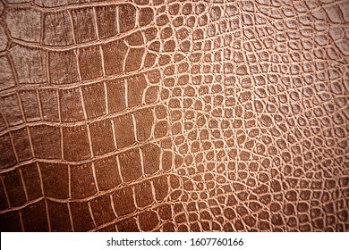 Crocodile leather pattern used for background