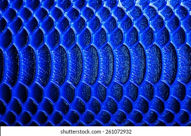 133,086 Blue skin texture Images, Stock Photos & Vectors | Shutterstock