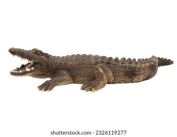 crocodile ope mouth on white background png