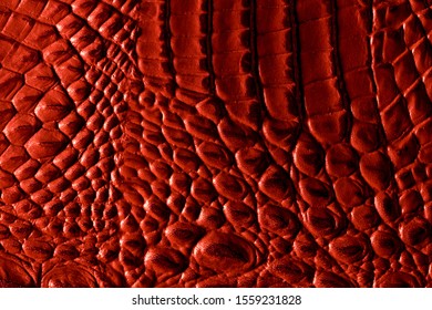 Crocodile Red Texture Background Stock Photo 1559231828 | Shutterstock