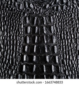 Crocodile skin pattern texture. Print Crocodile Texture Leather, Dark Reptile Background.