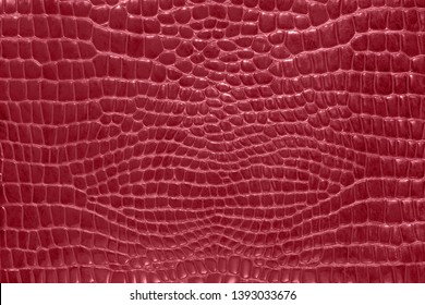 Crocodile skin red color, perfectly will be suitable for any design purposes. Leather texture.
