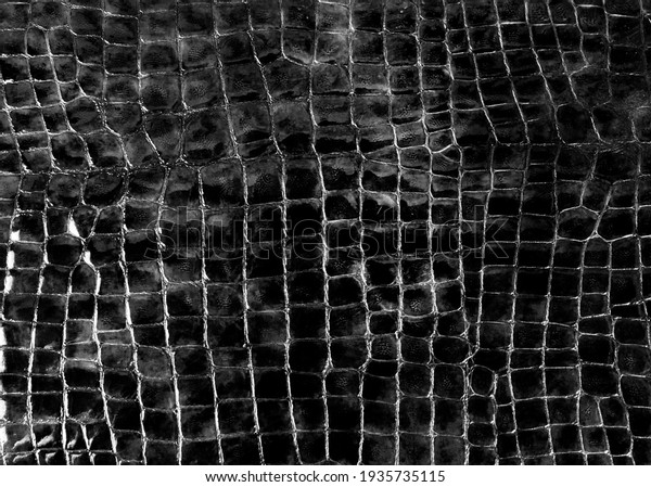 Crocodile or snake skin, reptile texture.\
Background. A flap of\
skin.