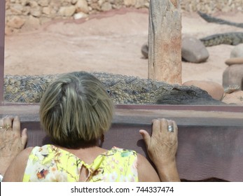 crocodiles of morocco