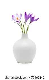 Crocus Flowers In White Vase, Isolated On White