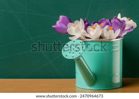 Similar – Image, Stock Photo crocuses flowers