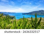 Croisilles Harbour, Marlborough Sounds, South Island, New Zealand, Oceania.
View from French Pass Road on Croisilles Harbour and Squally Cove.
