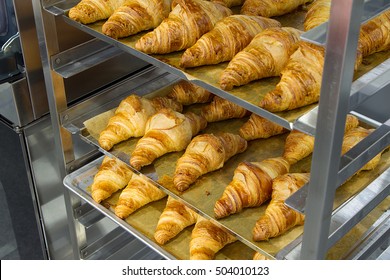 Croissants In The Oven