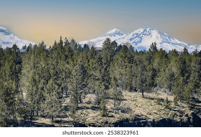 CROOKED RIVER GORGE, OREGON - APR 22, 2022 - Evergreen forest growing in the foreground with snow covered mountains and clear blue sky in the background - Powered by Shutterstock