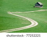 Crooked Road in the Meadow