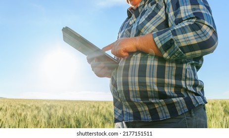 Crop anonymous male worker surfing internet on tablet while standing in field with green plants against blue sky in countryside. Unrecognizable farmer browsing tablet in countryside