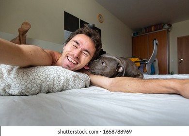 Crop Of Cheerful Young Man Taking Selfie While Amstaff Dog Licking Face And Lying Together On Bed In Apartment