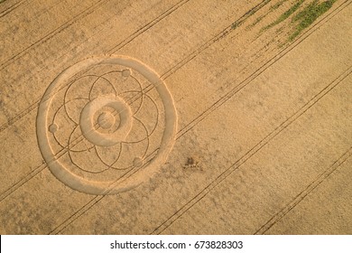 Crop Circle