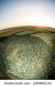 Crop Circle Near Solsbury Hill/England