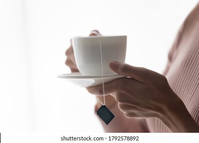 Crop Close Up Of Female Hands Hold White Porcelain Mug With Bag Inside, Drink Hot Black Green Tea At Home. Woman Client Enjoy Warm Brew Or Beverage In Cup, Relax Rest Having Break Indoors