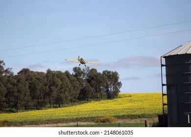 Crop Duster Plane Spraying Canola Crop