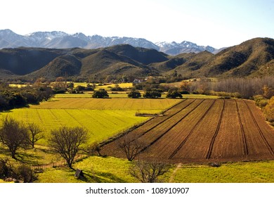 Crop Farming Near Oudtshoorn South Africa