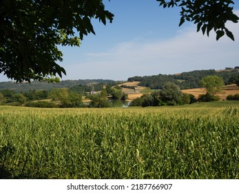 Crop Field In France Atlantic Pyrenees Water Restriction For Irrigation Of The Crop Drought Crisis