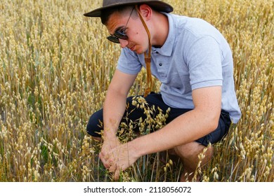 Crop Grain. Portrait Of Farmer Seating In Gold Wheat Field With Blue Sky In Background. Young Man Wearing Sunglasses And Cowboy Hat In Field Examining Wheat Crop. Oats Grain Industry. Closeup.