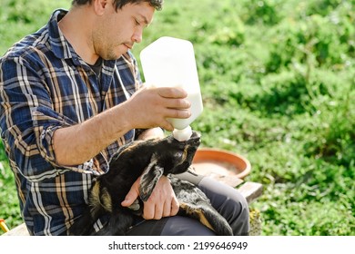 Crop Male Farmer Feeding Baby Goat With Milk
