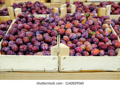 Crop of plums in boxes. Plum background. Beautiful blue plums close-up. - Shutterstock ID 1142829560