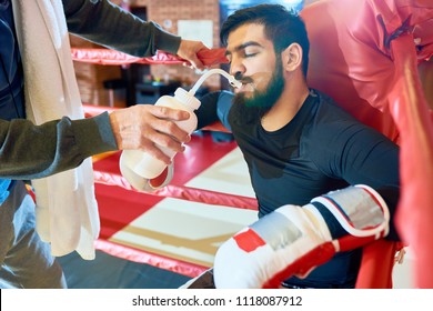 Crop senior coach helping young bearded boxer in gloves with drinking water while sitting in corner of ring.  - Powered by Shutterstock