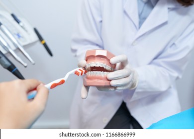 歯のモデルを持つ手袋の歯医者のクロップショットで、適切な歯磨き技術を持つ患者を助ける 