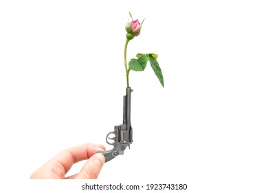 Gunflower Images, Stock Photos & Vectors | Shutterstock