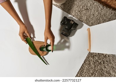 Cropped black female photographer setting up aloe vera leaf and lotion before taking picture on digital camera at home studio. Create content for photostocks, commerce, social networks and advertising - Powered by Shutterstock