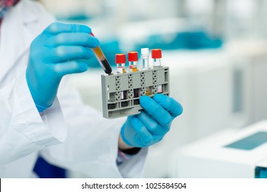 Cropped Close Up Of A Biologist Working With Blood Test Tubes At The Laboratory Copyspace Virus Immunology Research Survey Healthcare Medicine Solution Profession Occupation Job Science Clinical.