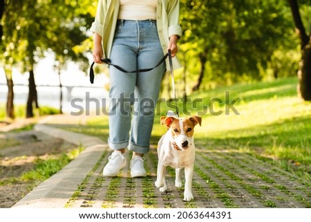 Cropped close up shot of a female pet owner walking her dog in city park. Caucasian young woman playing with jack russell terrier outdoors. Pet care concept