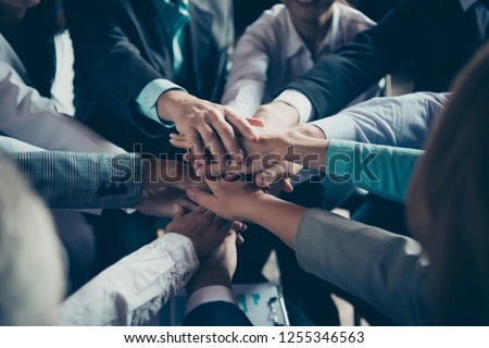 Cropped close-up of hands elegant classy chic stylish trendy professional business people sharks ceo boss chief company management development at work place station