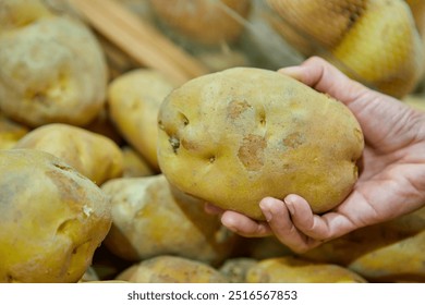 Cropped hand holding potato in market - Powered by Shutterstock