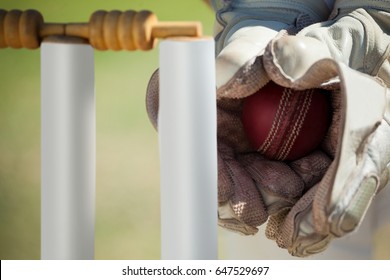 Cropped hands of wicketkeeper catching ball behind stumps - Powered by Shutterstock