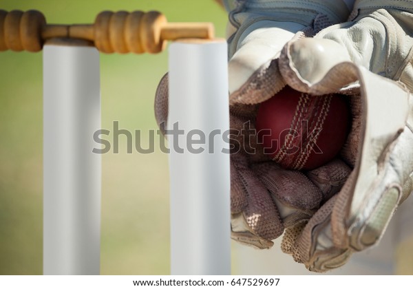 Cropped\
hands of wicketkeeper catching ball behind\
stumps