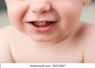 Cropped image of a baby's mouth open showing his first teeth, nose and his upper body, but not showing his eyes.