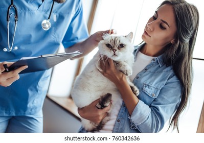 Cropped Image Of Handsome Doctor Veterinarian At Vet Clinic Is Examining Cute Cat While His Owner Is Standing Nearby And Holding Pet On Hands.